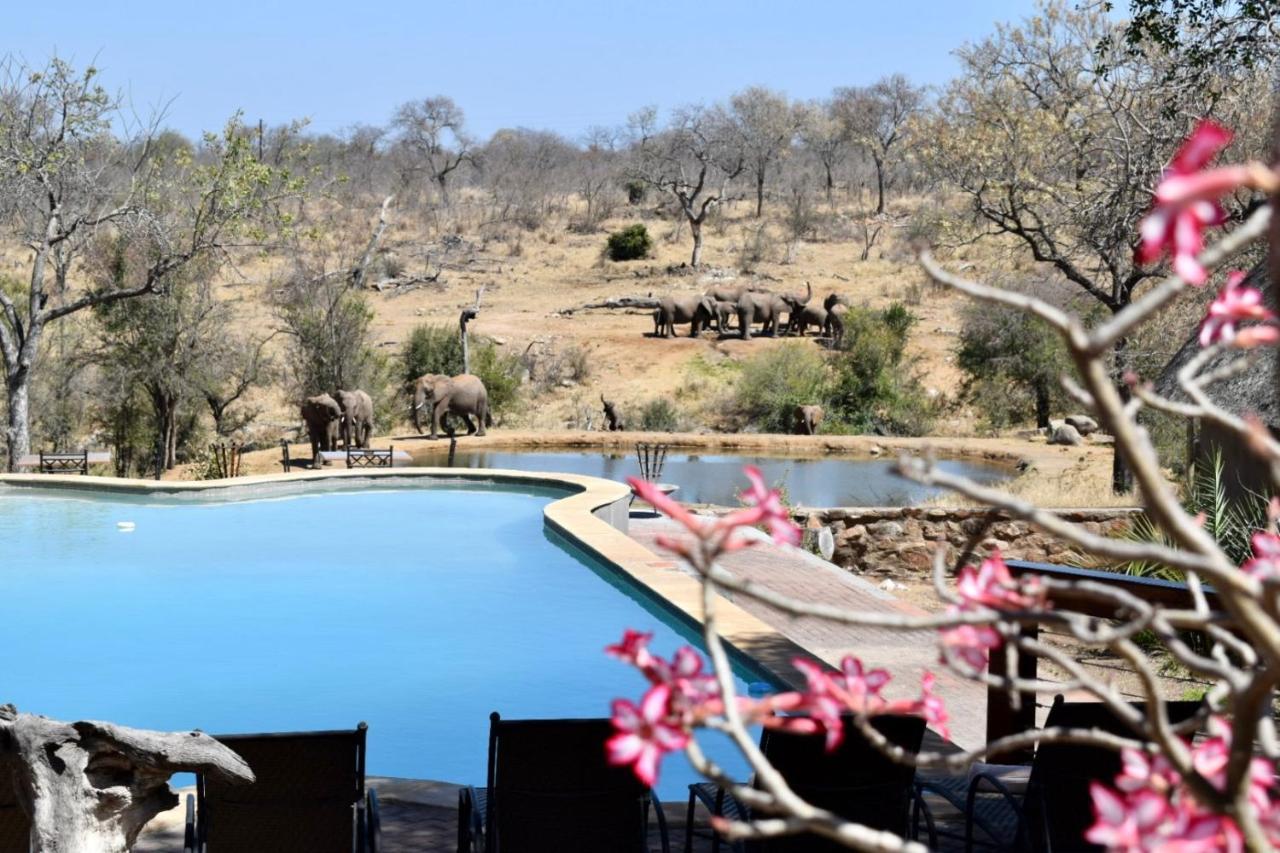 Milima Big 5 Safari Lodge Hoedspruit Εξωτερικό φωτογραφία