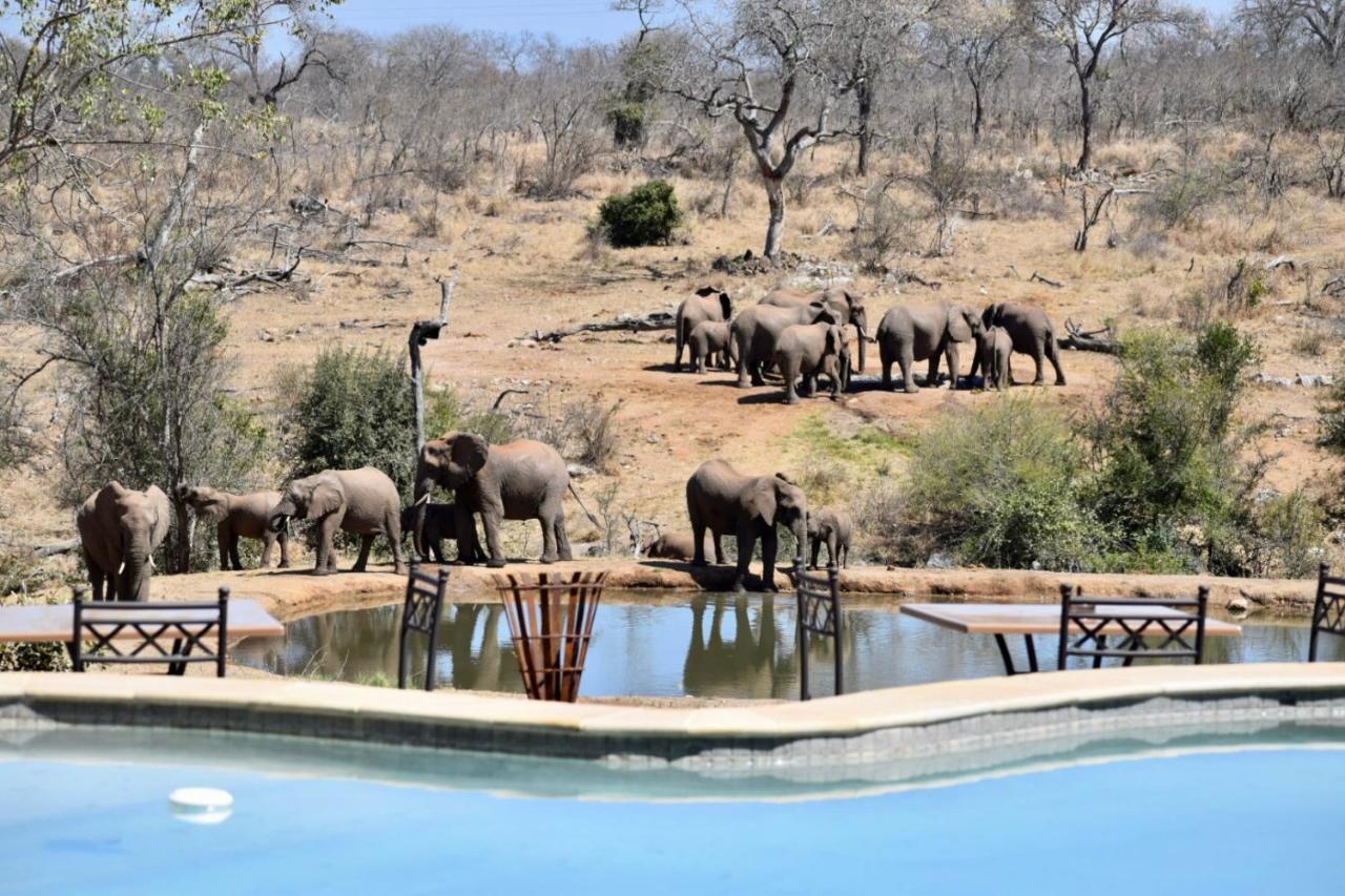 Milima Big 5 Safari Lodge Hoedspruit Εξωτερικό φωτογραφία