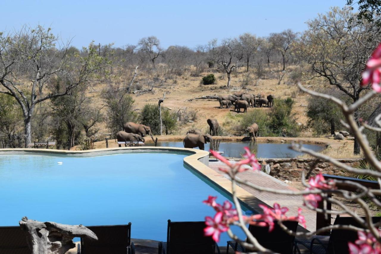 Milima Big 5 Safari Lodge Hoedspruit Εξωτερικό φωτογραφία